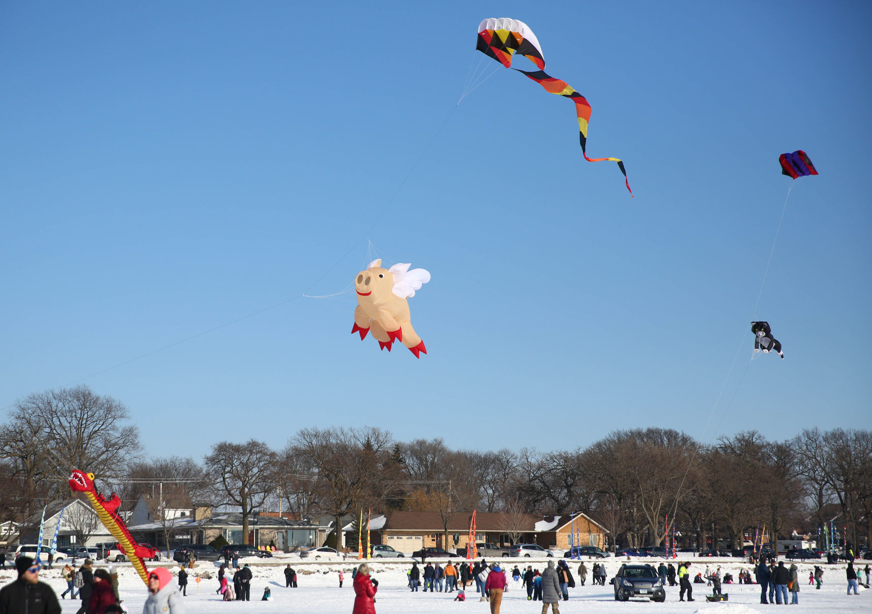 Color the Wind kite festival 02-15-2020 (9).jpg